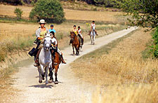 France-Provence-A Taste of Provence